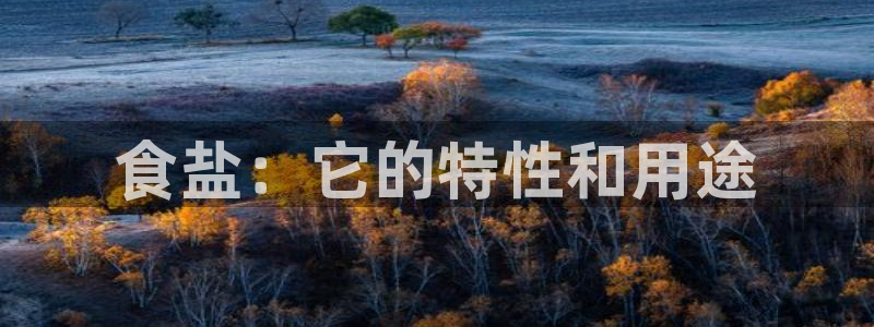 威九国际m78