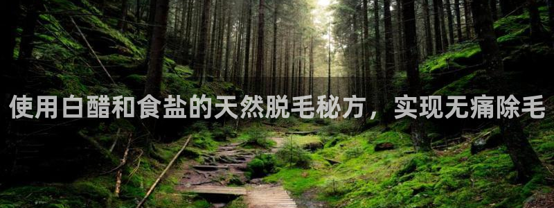 威九国际ppt官网