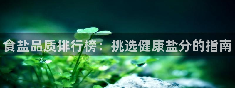 威九国际ppt官网