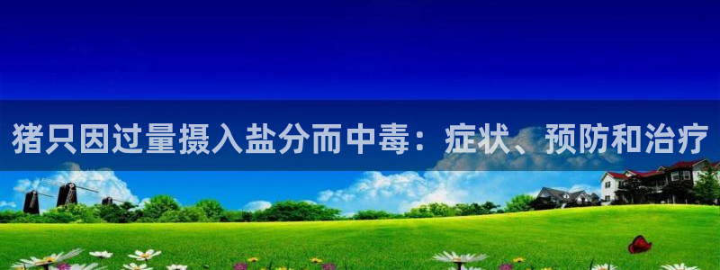 78mppt威九国际