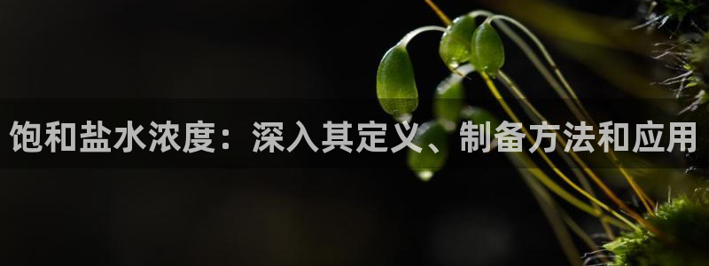 威九国际入囗