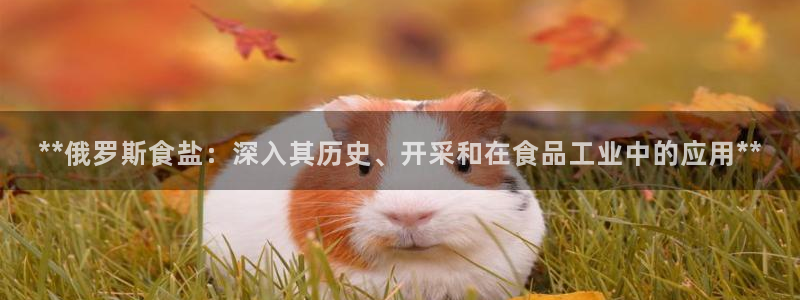 威九国际APP那个地方