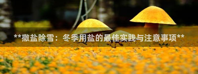 威九国际网站链接怎么打开