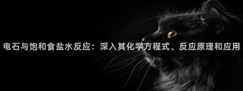 66m威九国际成长模式