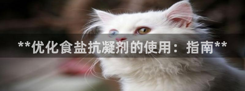 威九国际app下载