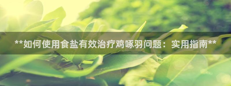 威九国际在哪里