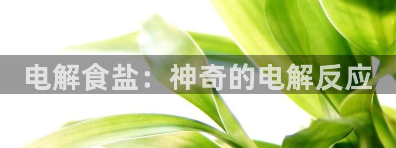 威九国际免费版
