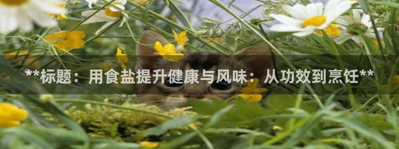 威九国际网站进入客服中心