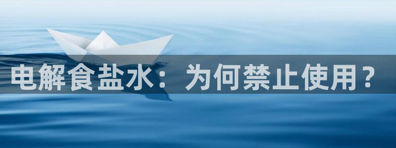 威九国际软件公司简介