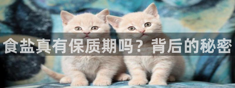 威九国际发布新版eBzxin2Tp