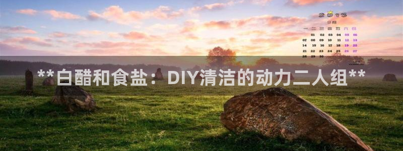 威九国际v8
