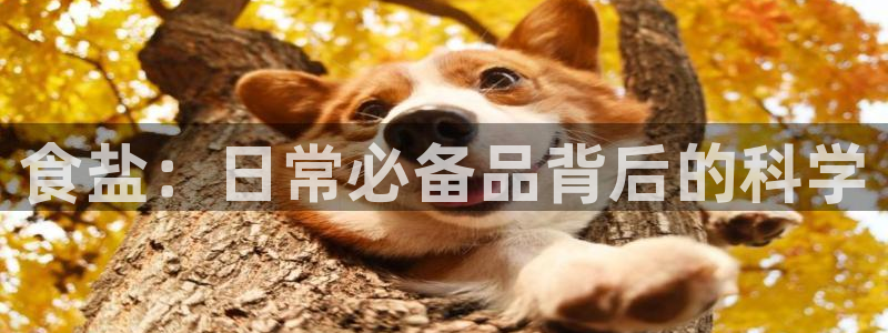 威九国际官方网站最新版本更新内容介绍