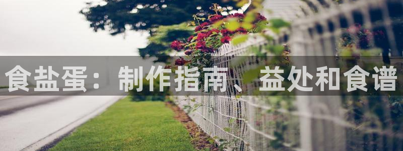 威九国际v96bet官网版