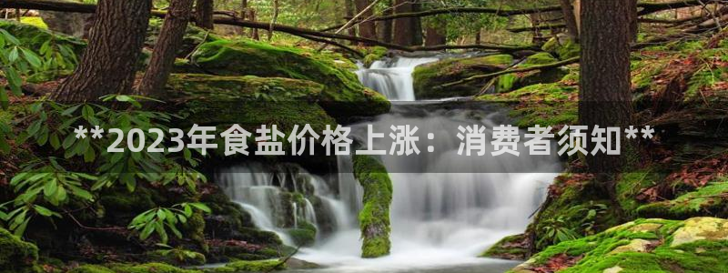 威九国际精选