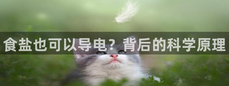 78mapp威九国际人民网