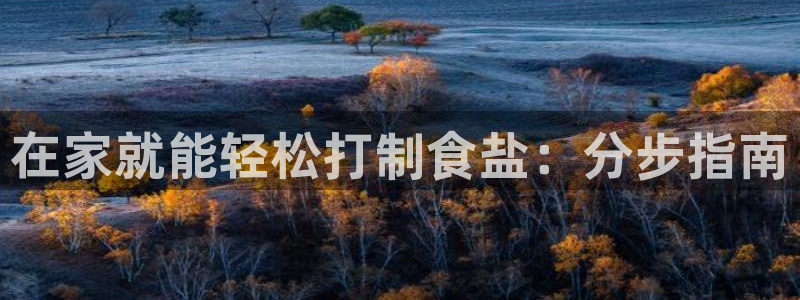 威九国际v18