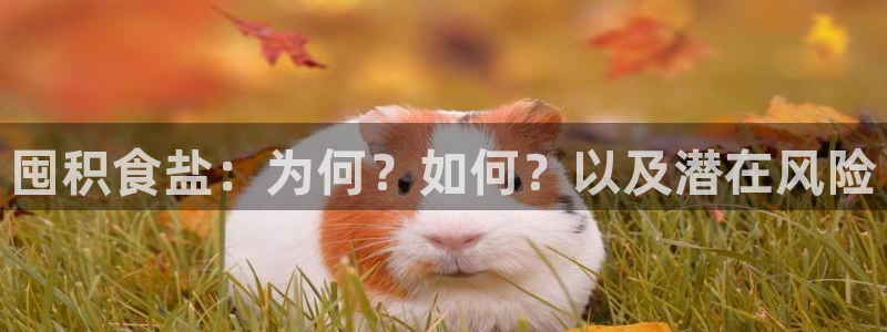 威九国际78app