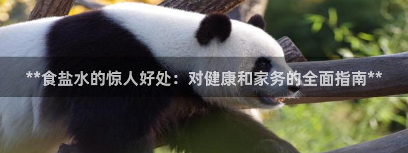 威九国际精