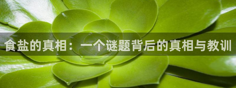 保定威九网络科技有限公司