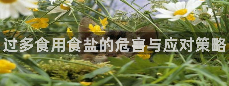 威九国际w98