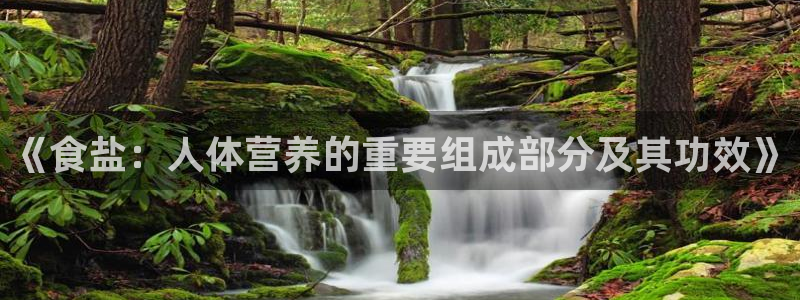 威九国际h5