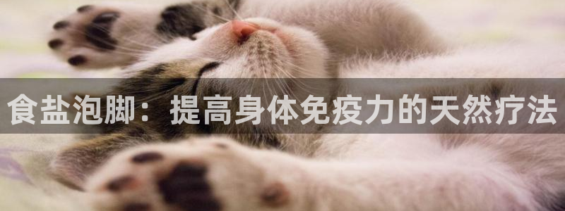威九国际78mb下载