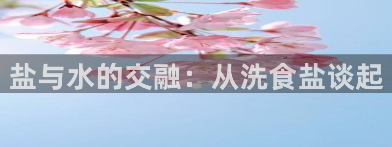 威九国际v8