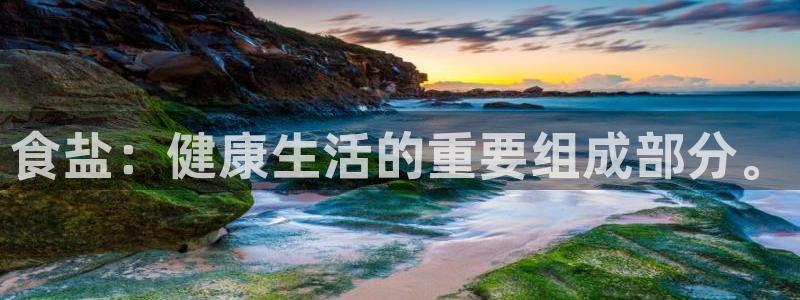 威九国际mv