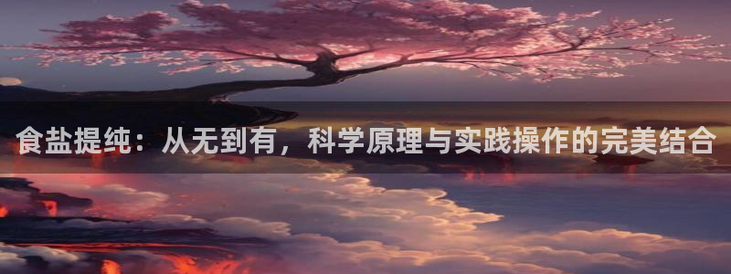 威九国际海域
