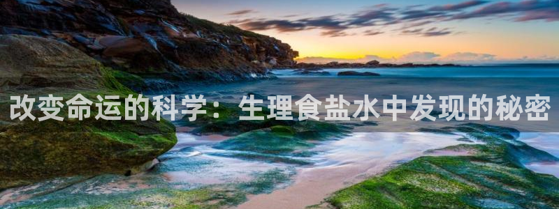 威九国际入囗