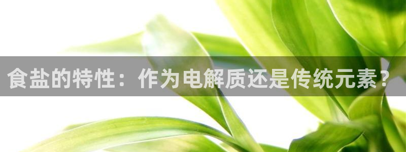 保定威九网络科技有限公司