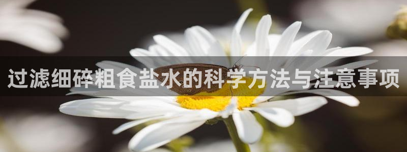 威九国际网站安全吗可靠吗