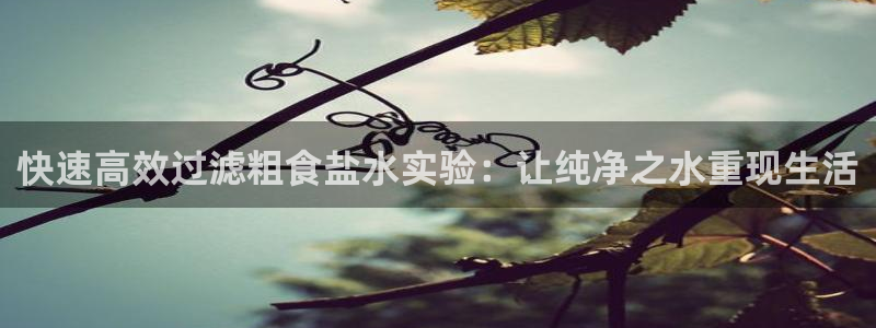 威九国际66m66