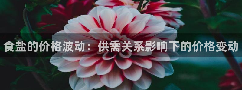 威九国际游戏app(网站)：食盐的价格波动：供需关系影响下的